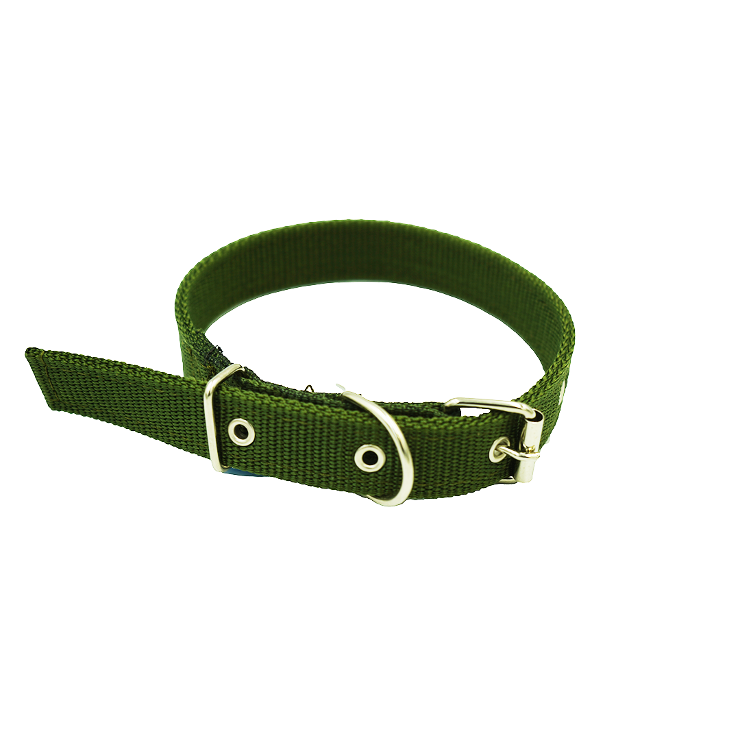 Dog Collar Single Layer 2.5X60Cm