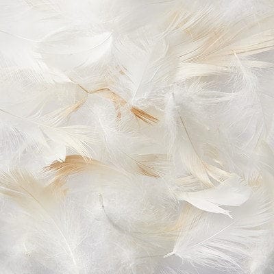 Duck Feather Scatter Cushion Inner 50x50 White