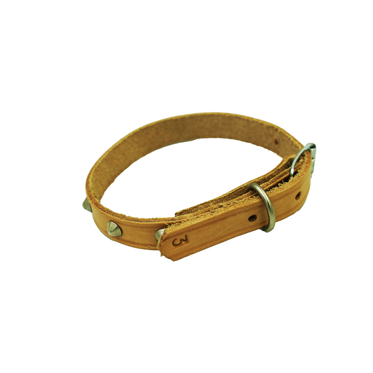 Dog Collar No 3 16Mmx400Mm