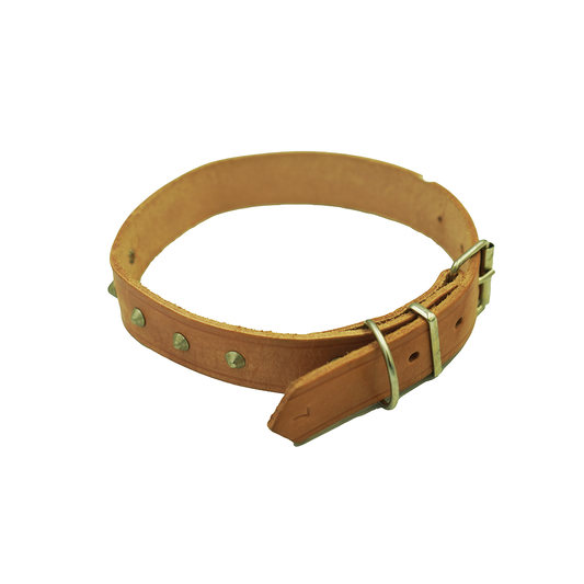 Dog Collar No.7 30X600Mm
