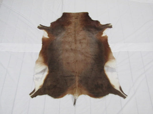 Blesbok Game Skin