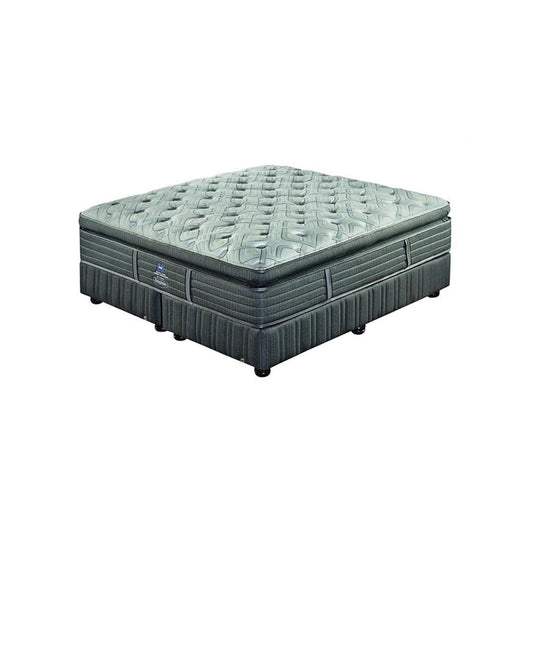 Sealy Crown Jewel Teatro Plush Bed