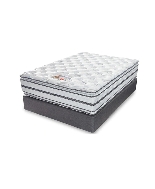 Cloud Nine Firm Flex PT Bed
